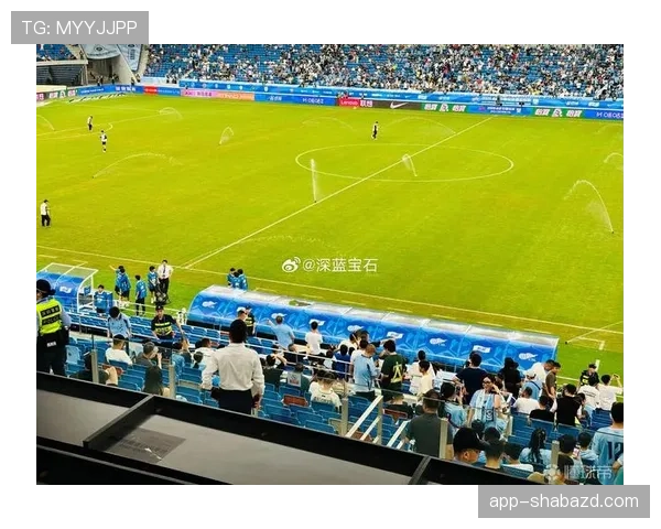 替补席外冲突判罚标准到底如何界定边界？