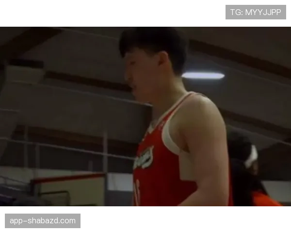 杨瀚森利用内线掩护拉开空间提升篮下得分效率